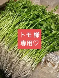 トモ 様 専用(*ˊ˘ˋ*)