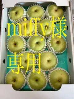 miffy　贈答用5キロ2箱　秋麗梨 miffy様専用 贈答2箱計10キロ 秋麗 梨 - メルカリ