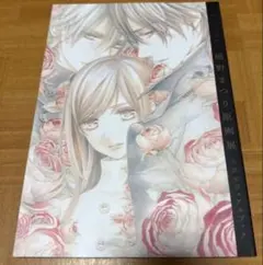 ヴァンパイア騎士原画展 樋野まつり 公式ビジュアルブック イラスト集