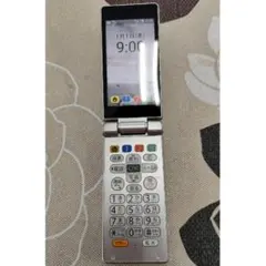 Item thumbnail for item 133a525a-f09e-4659-afc0-a8c0b5ea6c94