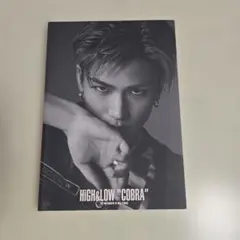 HiGH&LOW COBRA 岩田剛典 - メルカリ