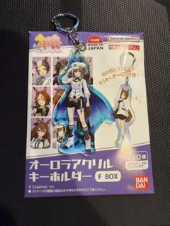 ウマ娘 オーロラアクリルキーホルダー F BOX シュヴァルグラン
