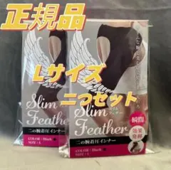 Slim Feather スリムフェザー 二の腕着圧インナー Lサイズ-2点^_