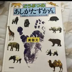 どうぶつのあしがたずかん ヒサクニヒコ 加藤由子のサムネイル