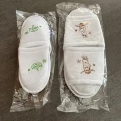 Item thumbnail for item 17e7b343-e5fe-4112-ba4e-5d5bbf3c4a08