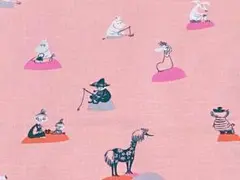 〇MOOMIN〇ERI SHIMATSUKA〇サーモンピンク〇廃盤〇レア〇現品限