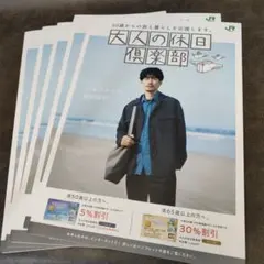 JR東日本 大人の休日倶楽部 吉永小百合 岩手県 龍泉洞 B0サイズ