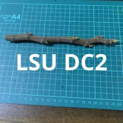 kou様 リクエスト 2点 まとめ商品