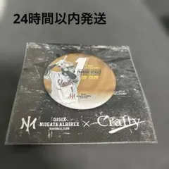 オイシックス新潟アルビレックス 陽岱鋼 缶バッジ