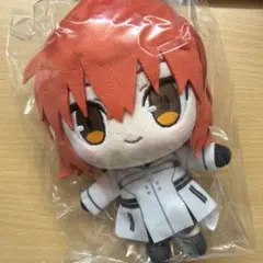 星見の回廊 デフォルメぬいぐるみ 女主人公 ぐだ子 - メルカリ
