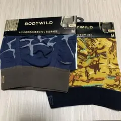 本日限定特別価格‼️ボディワイルドボクサーパンツ　Mサイズ　前とじ　2枚