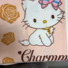 Item thumbnail for item 9c275539-0342-400e-a02d-d6cdb88dccde