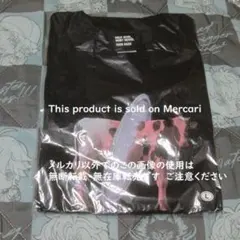 Item thumbnail for item ce3cbc38-e905-43bb-b32d-904b99548906