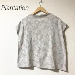 Plantation プランテーション　ジャガードカットソーのサムネイル