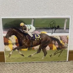 和田竜二 ホースレーシング2016 直筆サインカード クランモンタナ 現
