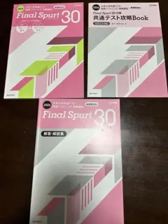 Item thumbnail for item 3b1d7fbf-137c-4aac-b0cd-cd85b10ee833