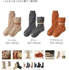 Item thumbnail for item df089a9b-4304-47be-85d5-6771156997a8