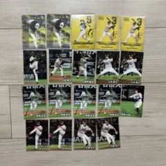 プロ野球チップス2025 9球団 まとめ売り