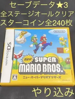 【オールコンプリート‼️】NEW スーパーマリオブラザーズ　DS
