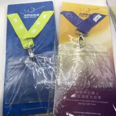 香港ディズニーランド　カードケース