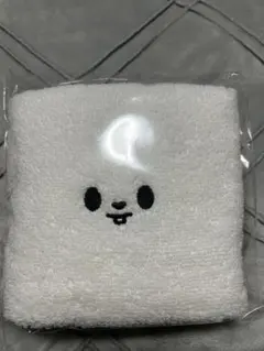 スキズ　ペンミ　リービット　タオル