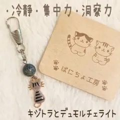 【VC.539】うちのこシリーズ　キジトラとデュモルチェライト　パワーストーン