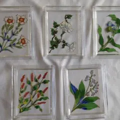 花柄ガラスプレート5枚セット