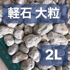 軽石 大粒 2L 多肉植物 サボテン 観葉植物土 魂根植物のサムネイル