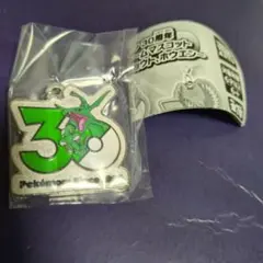 ポケモン３０周年メタルチャームマスコット　レックウザ　ガチャ