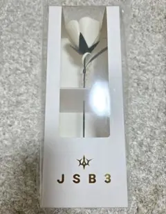 ★新品未開封★ 三代目 JSB アプグレグッズ アートローズ 懐中時計