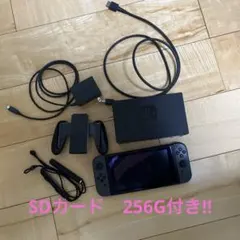 新品未開封】Switch2 任天堂公式SDカード 256GB 5点セット - メルカリ
