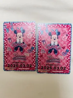 ディズニー フリーきっぷ リゾートライン ミニーのファンダーランド ミニー　2枚