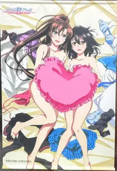 ストライク・ザ・ブラッド 雪菜 那月 浅葱 A4クリアファイル 
