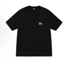 Stussy ブラック Tシャツ 新品タグ付き