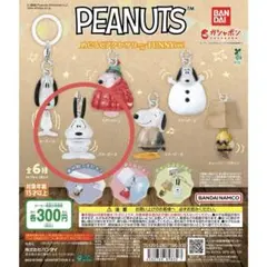 PEANUTS めじるしアクセサリー FUNNY ver.