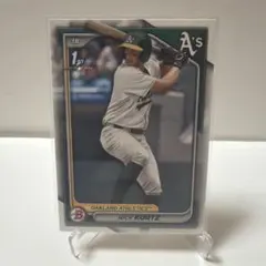 Item thumbnail for item b64153b7-667e-4f49-92ba-a7b91107101d