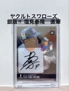 Item thumbnail for item dc62eb4c-4374-4987-bb7c-993ab35eeb8d