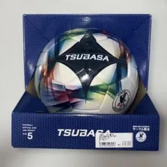 Item thumbnail for item 86601541-1e08-442c-9d68-b97d8b5f1d03