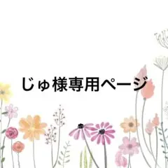 じゅ様専用ページ