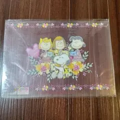 激レア!!スヌーピーの下敷き