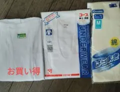 Item thumbnail for item 3c160b79-bc84-48fa-86cd-5f59f5282442