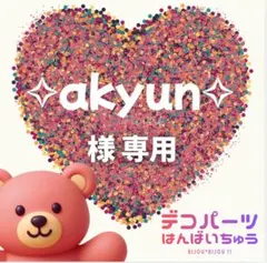 ✧akyun✧ 様　専用ページ