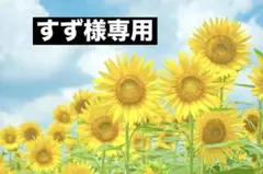 ボンボンドロップシール 20個詰め合わせ(内オーロラ2個)