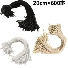 Item thumbnail for item c86593a9-39ff-4ddf-80ab-c737e261ddc9