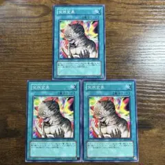 Item thumbnail for item cd12c7de-269e-486d-b82c-6ea280814b85