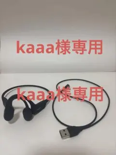 Shokz OpenRun S803 骨伝導イヤホン　【動作確認済】