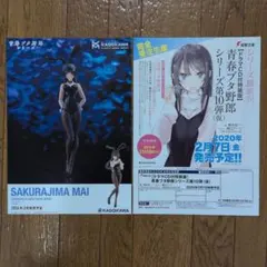 Item thumbnail for item 1861a149-fb62-435b-bf60-0a8eb45da92c