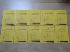 ワンピースマガジン20号付録　ルフィ　プロモ 10枚セット