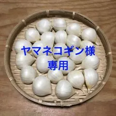 青森県産 にんにく ヤマネコギン様専用