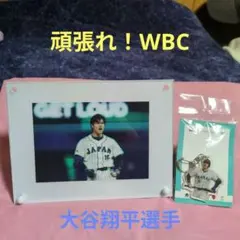 Item thumbnail for item 217c1855-4a46-4fe6-b104-e38c3a0c89b0